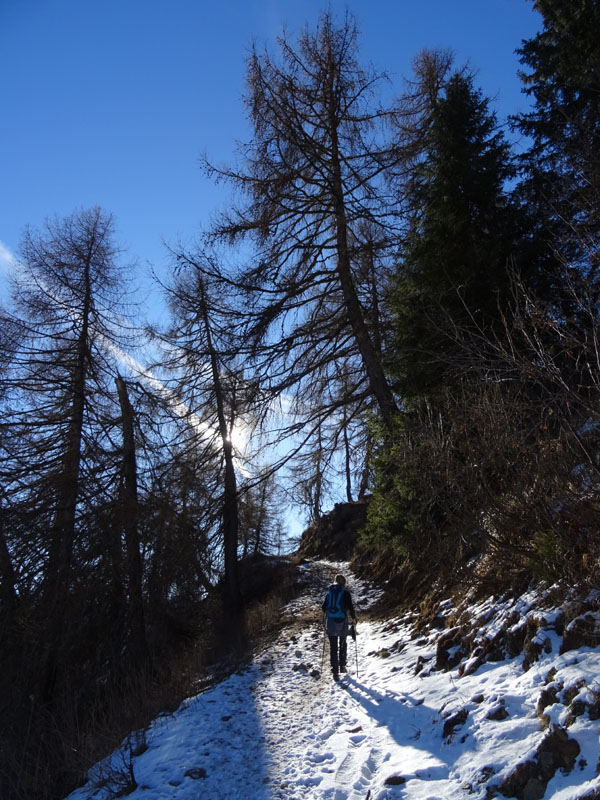 Cimon di Bolentina m. 2287 - Piz di Montes m. 2368